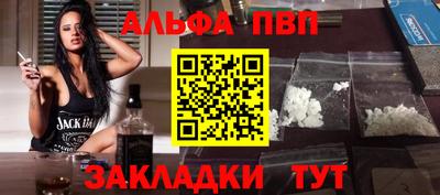 кокс Кингисепп