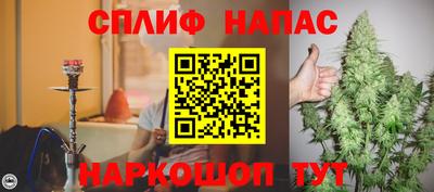 кокс Кингисепп