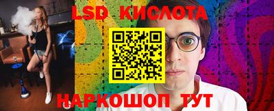 кокс Кингисепп