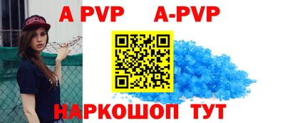 кокс Кингисепп