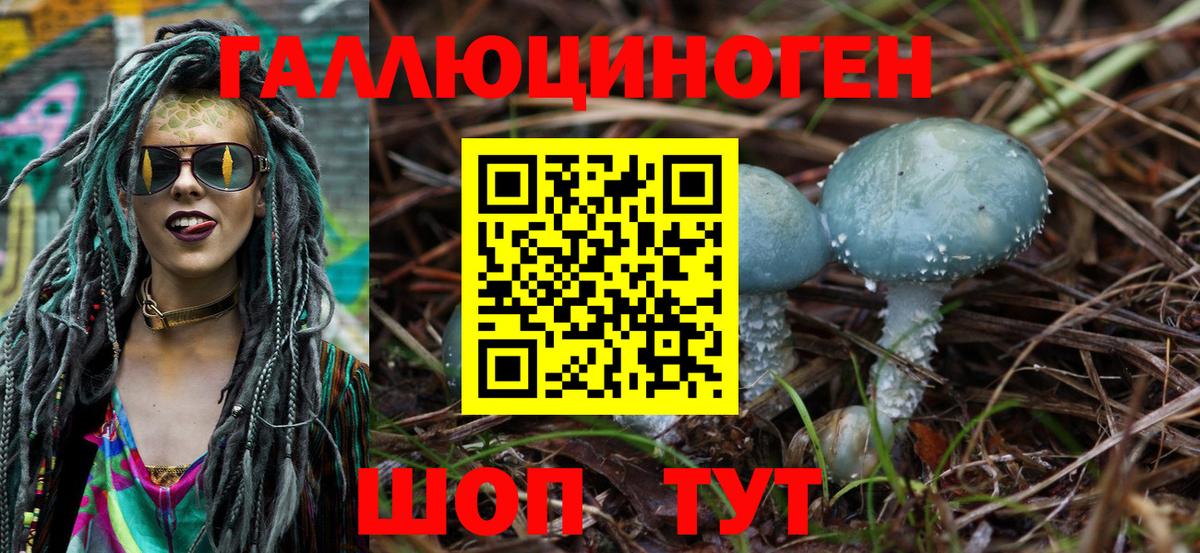 Галлюциногенные грибы прущие грибы Томск