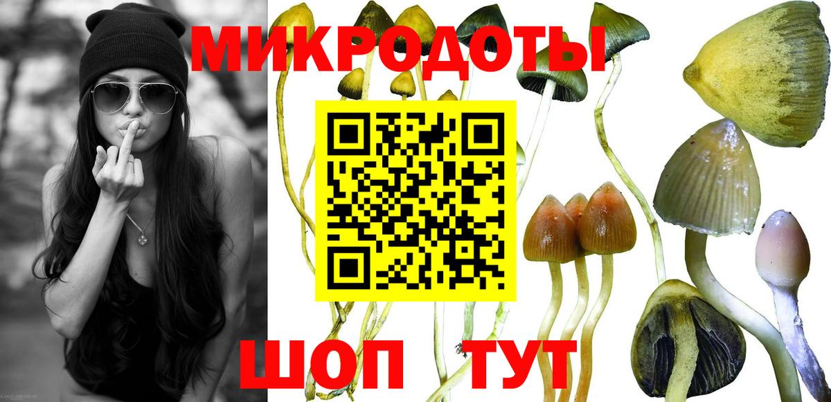Псилоцибиновые грибы GOLDEN TEACHER  Вход с VPN  Томск 