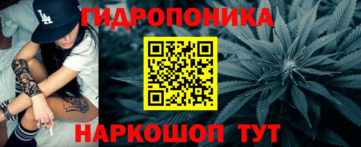 Бошки марихуана планчик  Конопля индика  Каннабис семена  Вход с VPN  Томск 
